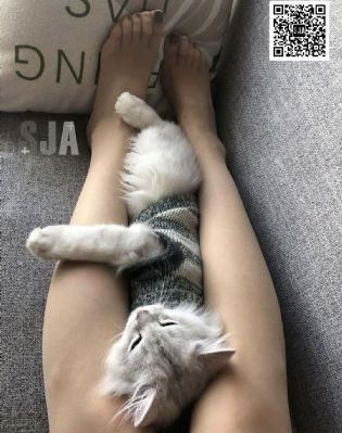 三国之乱婬H侵犯_蓝光在线播放